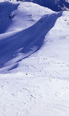 moncler�C���[�W