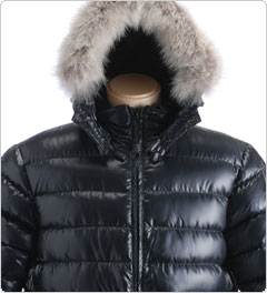 �t�B���p���[