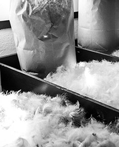 �t�B���p���[